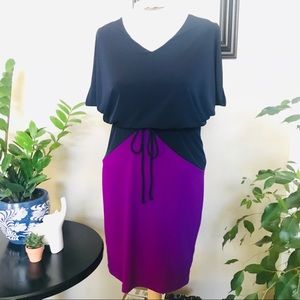 Women’s Navy Blue and Purple Short Dress Sz 4